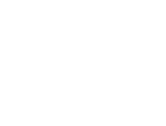 Delaney Law Logo White